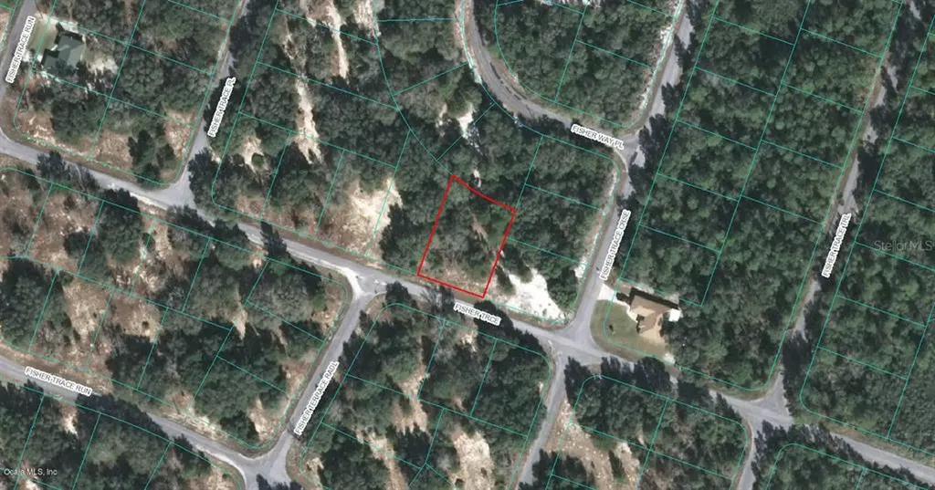 00 Fisher Trace Ocklawaha FL 32179