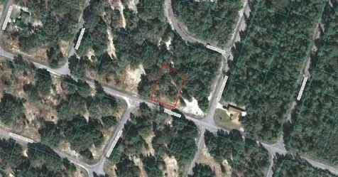 00 Fisher Trace Ocklawaha FL 32179