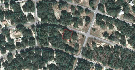 00 Fisher Terrace Ocklawaha FL 32179