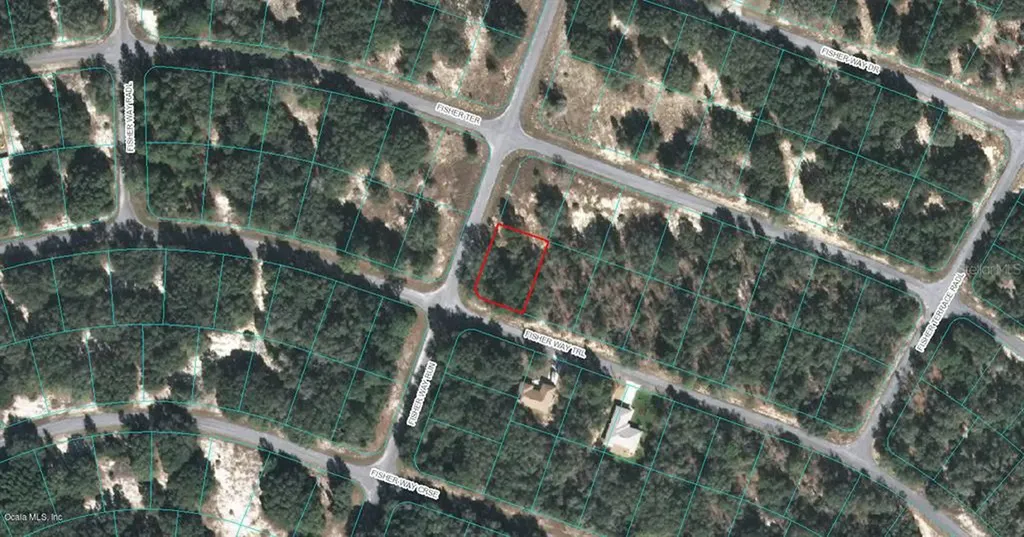 00 Fisher Way Trail Ocklawaha FL 32179