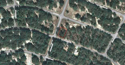 00 Fisher Way Trail Ocklawaha FL 32179