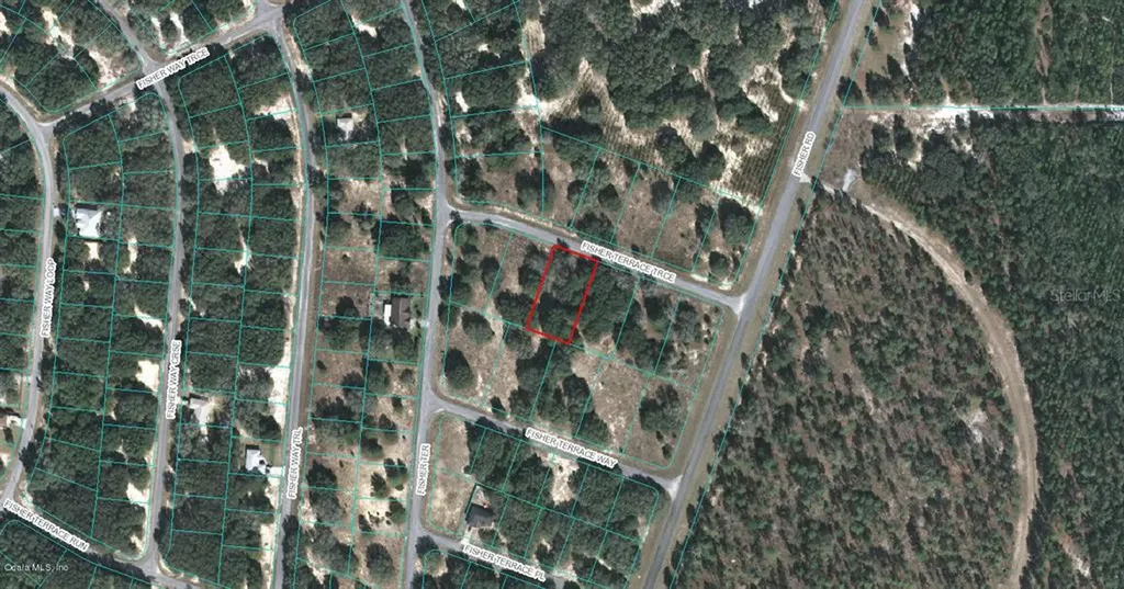 00 Fisher Terrace Trace Ocklawaha FL 32179