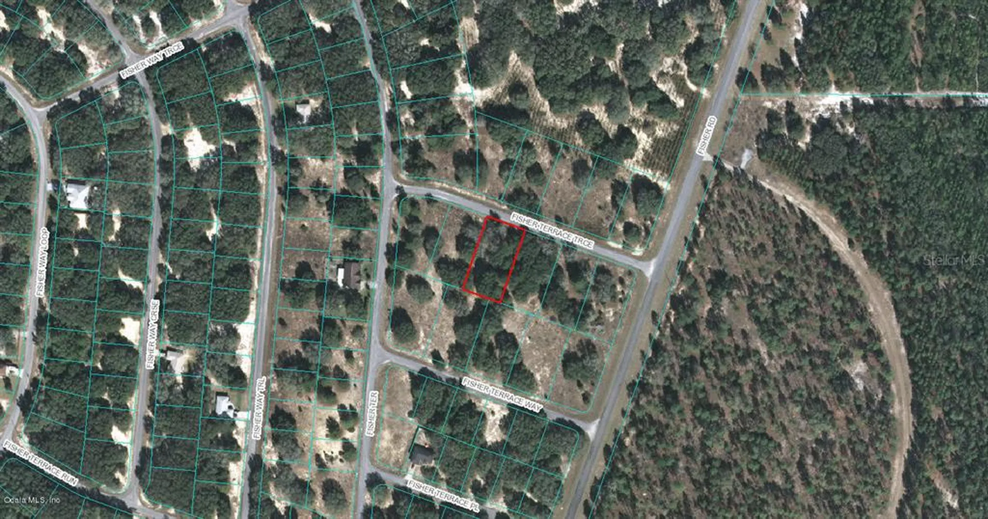 00 Fisher Terrace Trace Ocklawaha FL 32179