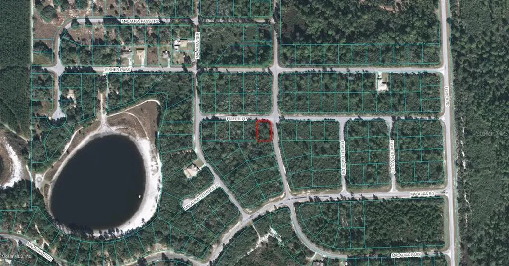 00 Fisher Place Ocklawaha FL 32179