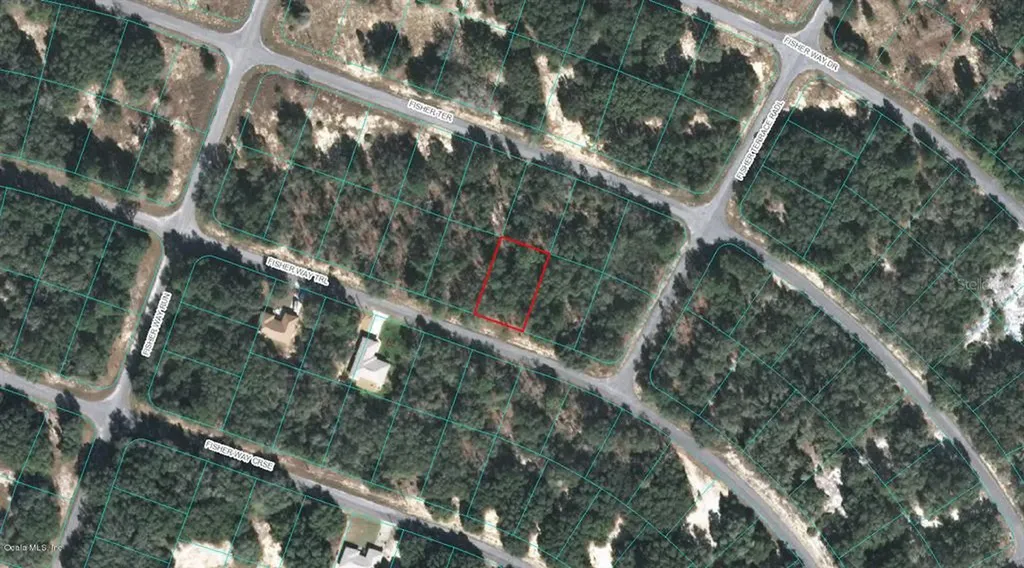 00 Fisher Way Trail Ocklawaha FL 32179