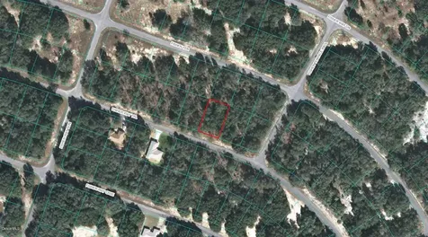 00 Fisher Way Trail Ocklawaha FL 32179