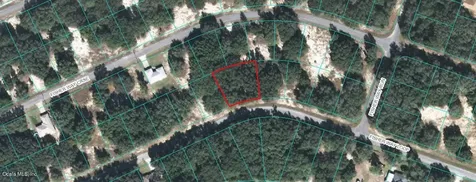 00 Fisher Way Loop Ocklawaha FL 32179