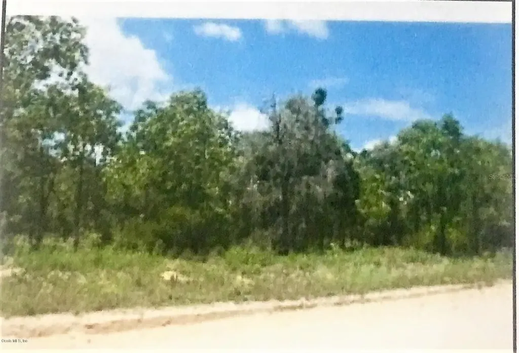 7370 W Leisure Street Dunnellon FL 34433