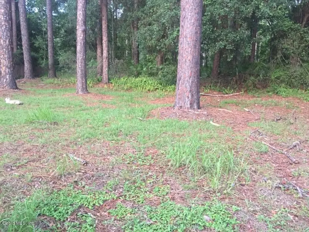 4225 NE 17th Terrace Gainesville FL 32609