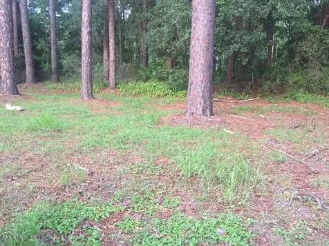 4225 NE 17th Terrace Gainesville FL 32609