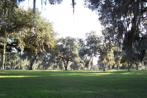 12808 NW 154th Avenue Road Morriston FL 32668