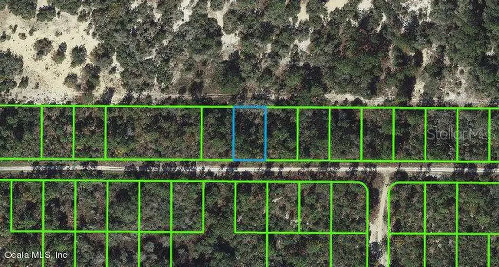 236 Rolling Hills Drive Lake Placid FL 33852
