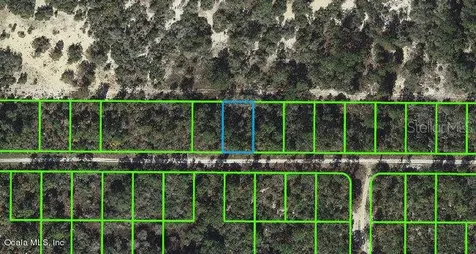 236 Rolling Hills Drive Lake Placid FL 33852