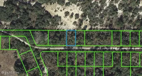 212 Rolling Hills Drive Lake Placid FL 33852
