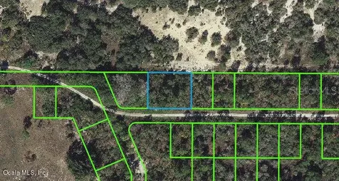 204 Rolling Hills Drive Lake Placid FL 33852