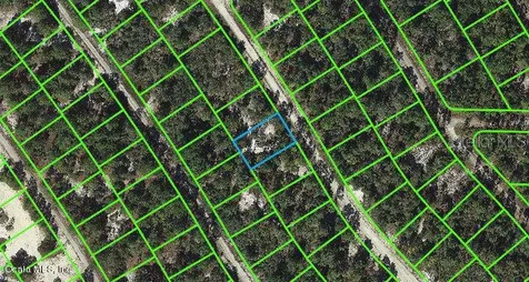520 Summer Hill Drive Lake Placid FL 33852