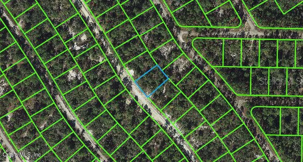 513 Summer Hill Drive Lake Placid FL 33852