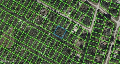 1056 Freehill Avenue Lake Placid FL 33852