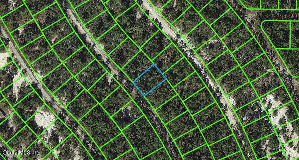 507 Dreamland Drive Lake Placid FL 33852
