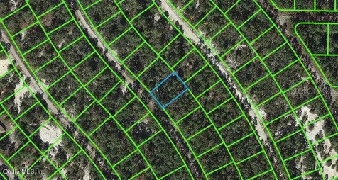 507 Dreamland Drive Lake Placid FL 33852