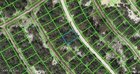 314 Wildwood Drive Lake Placid FL 33852