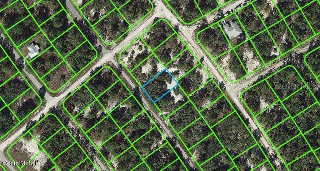 535 Dreamland Drive Lake Placid FL 33852