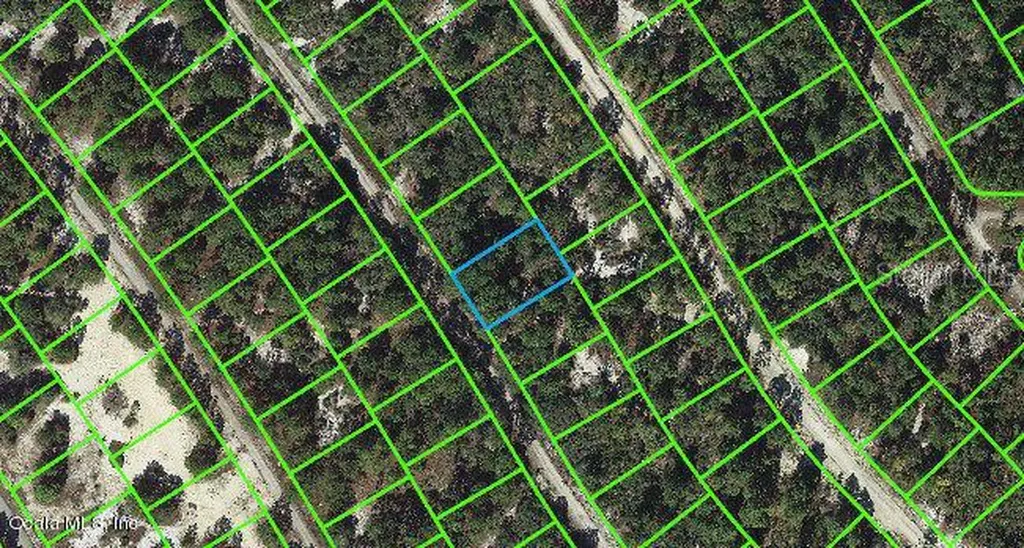 523 Dreamland Drive Lake Placid FL 33852