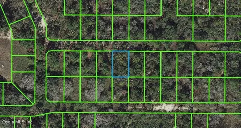 225 Tannery Lane Lake Placid FL 33852