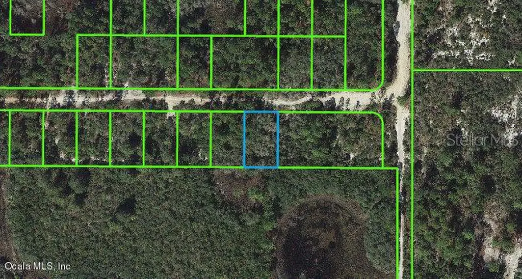 333 Claverton Drive Lake Placid FL 33852
