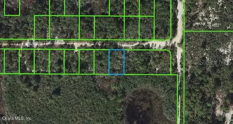 333 Claverton Drive Lake Placid FL 33852