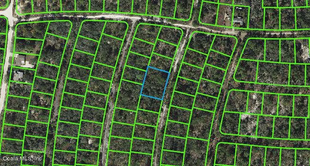 324 Imagination Drive Lake Placid FL 33852