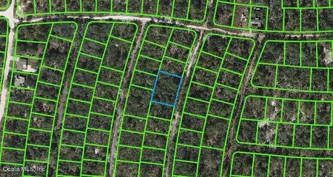 324 Imagination Drive Lake Placid FL 33852