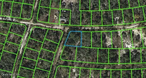 335 Sunny Side Drive Lake Placid FL 33852
