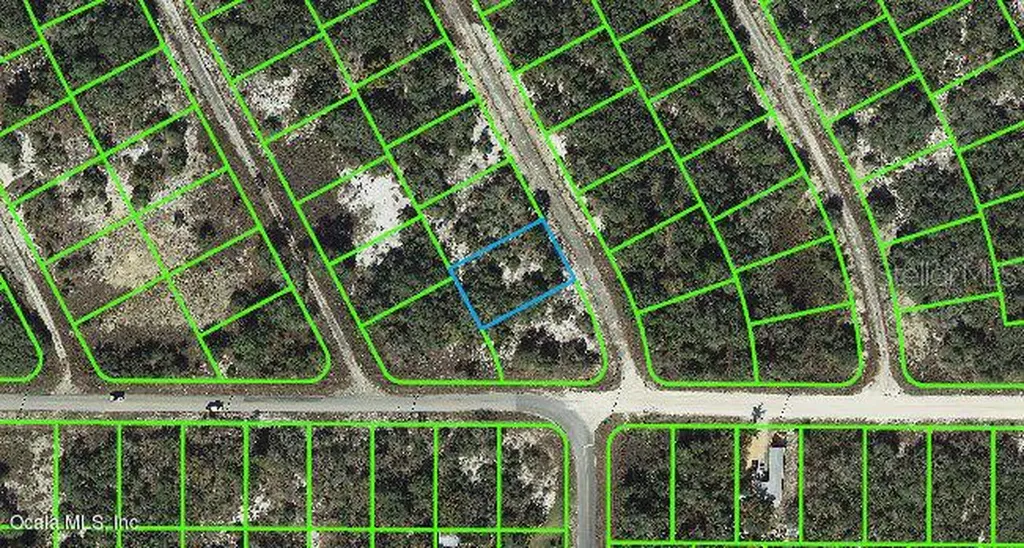 202 Deep Purple Drive Lake Placid FL 33852