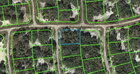 407 Crown Drive Lake Placid FL 33852