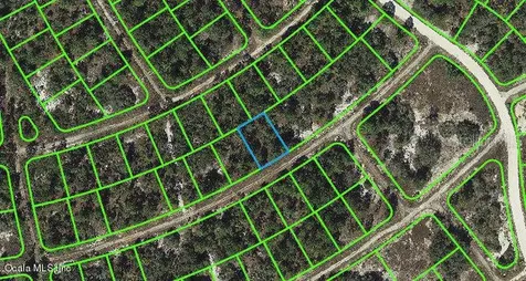 384 Showboat Avenue Lake Placid FL 33852