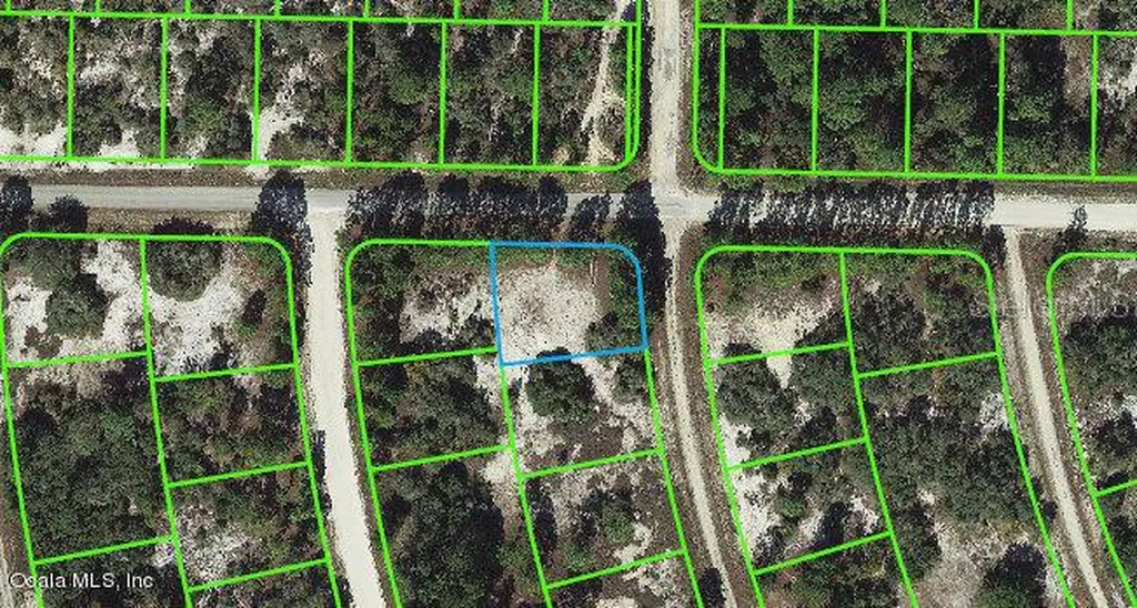 379 Jack Weisser Boulevard Lake Placid FL 33852