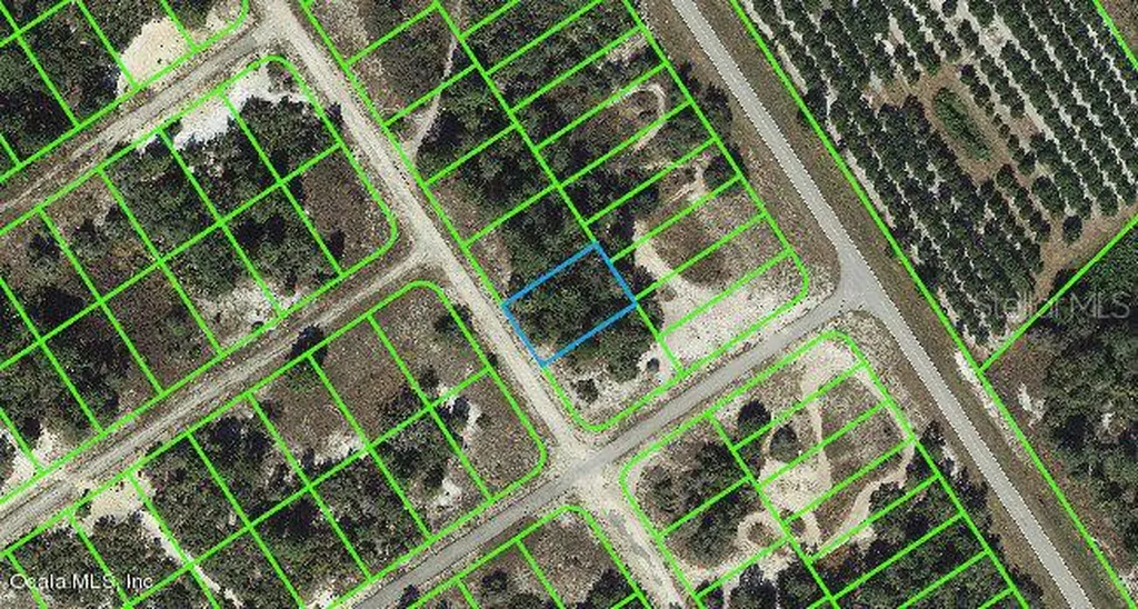 616 Morningside Drive Lake Placid FL 33852