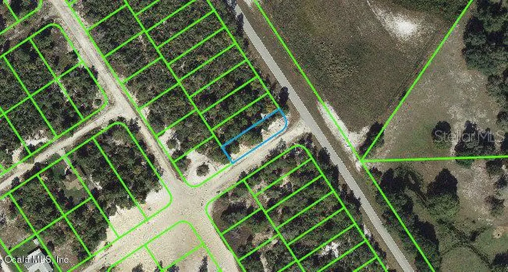 1015 Cr 29 Lake Placid FL 33852