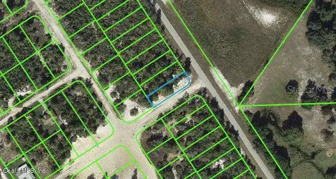 1015 Cr 29 Lake Placid FL 33852
