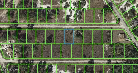 331 Sunflower Avenue Lake Placid FL 33852