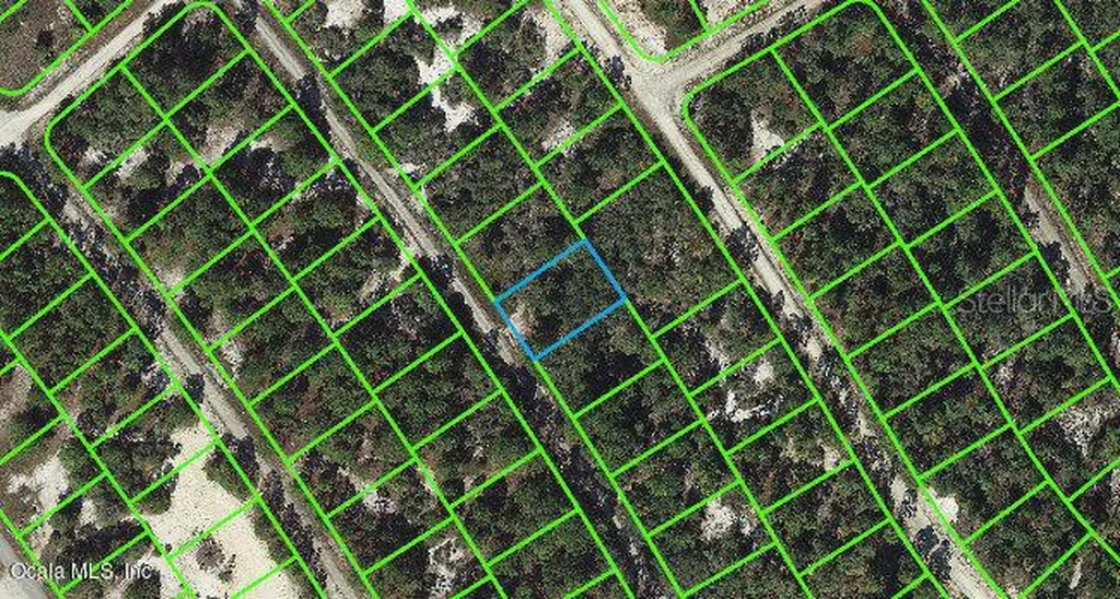 527 Dreamland Drive Lake Placid FL 33852