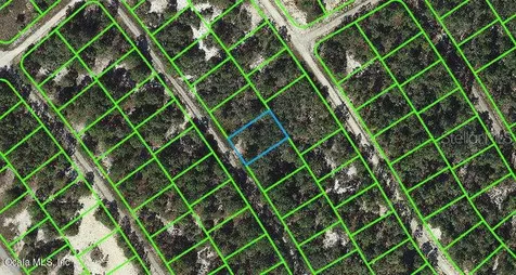 527 Dreamland Drive Lake Placid FL 33852