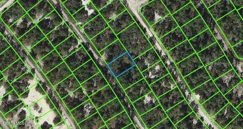 525 Dreamland Drive Lake Placid FL 33852