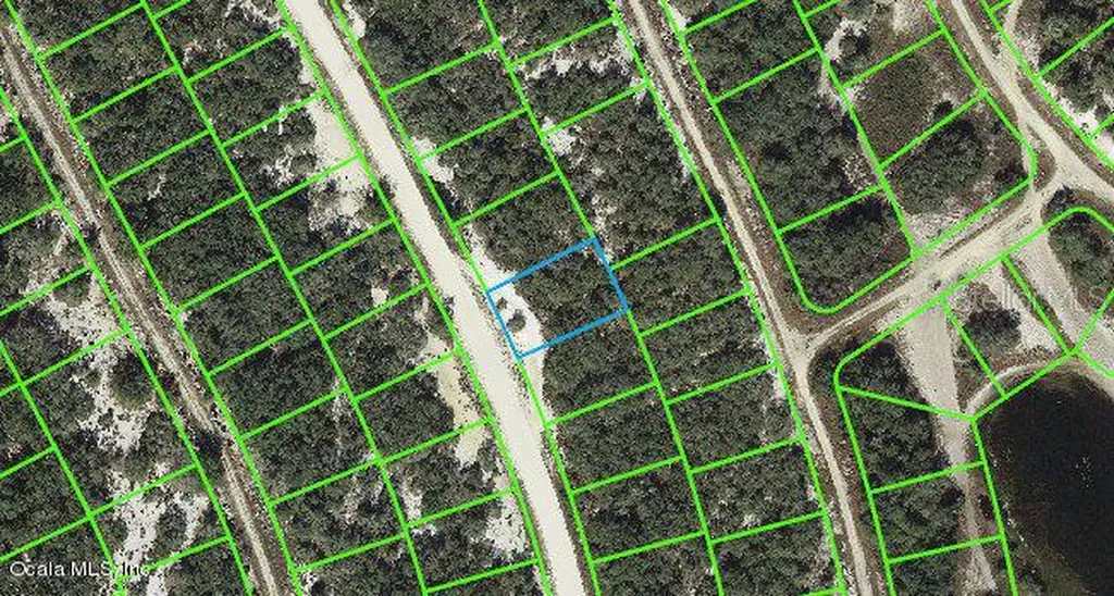 217 Hopedale Drive Lake Placid FL 33852