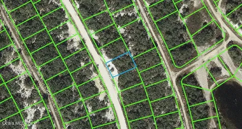 217 Hopedale Drive Lake Placid FL 33852