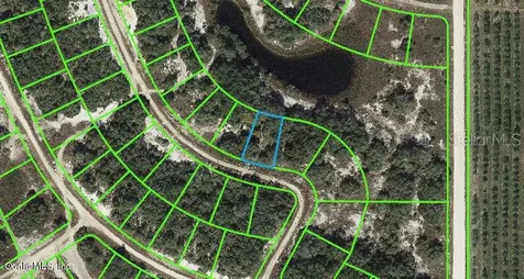 211 Dargen Drive Lake Placid FL 33852