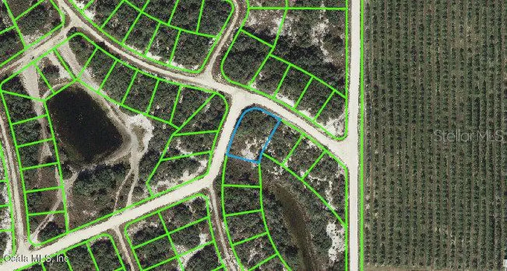 131 Danby Drive Lake Placid FL 33852