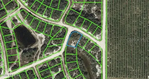 131 Danby Drive Lake Placid FL 33852