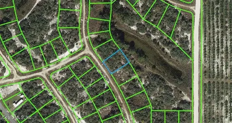 119 Summer Oak Drive Lake Placid FL 33852